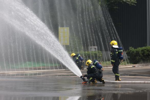 香港正版全年资料大全